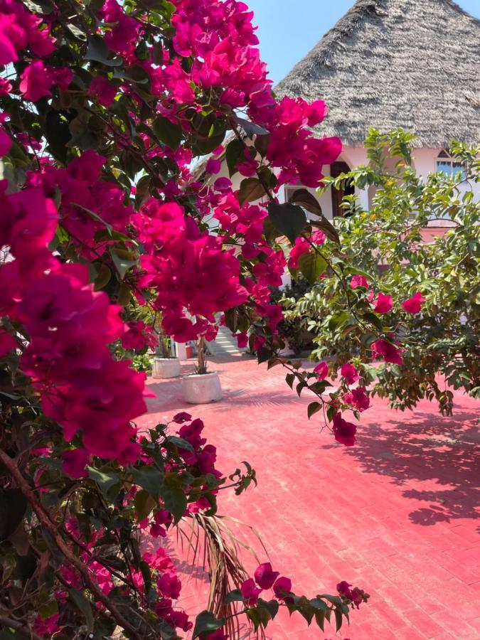 Villa Euphoria - Adults Only Paje Esterno foto